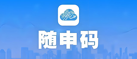 随申码 | 战时速度的项目制外...